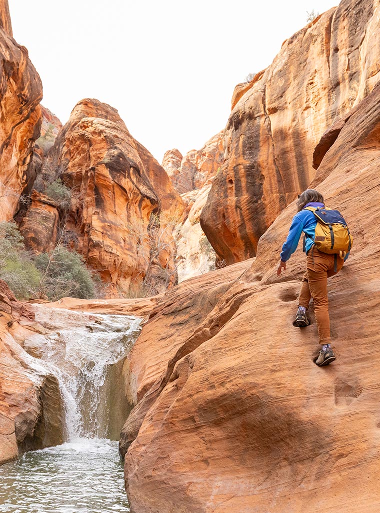 Redefining Loyalty Through the Moments That Matter