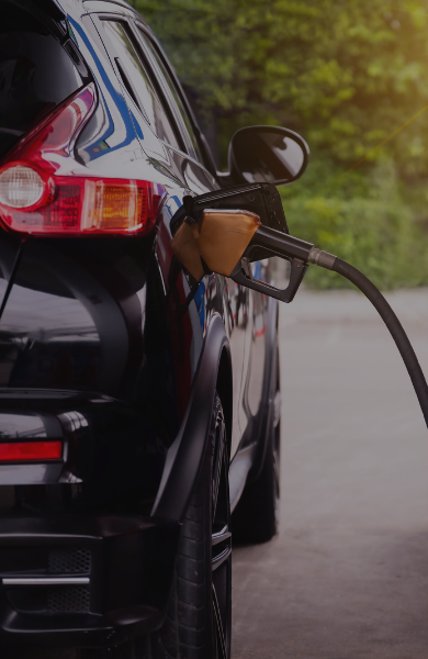 fuel loyalty