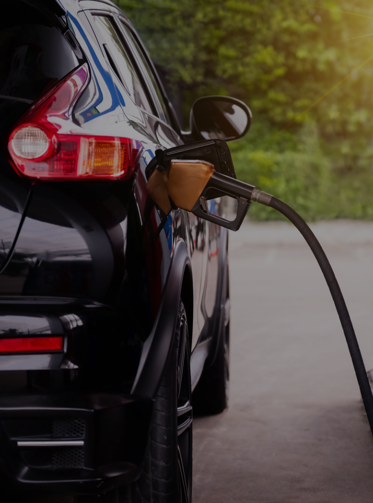 fuel loyalty